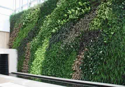 2017060514966460491500491346.jpg 立體綠化12.jpg