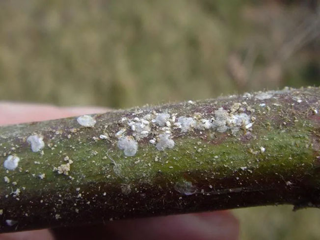 2022111816687374771011171152.jpg 微信圖片_20221118100205.jpg